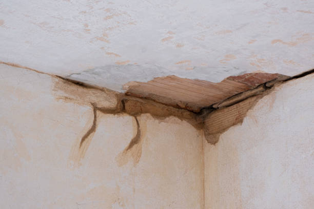 Best Professional water damage repair  in Pixley, CA