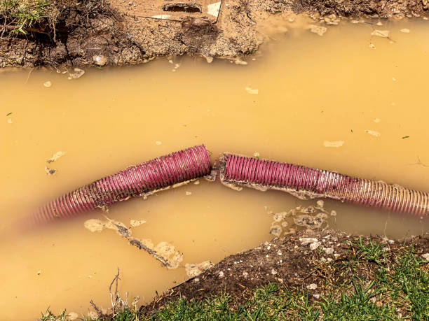 Best Water damage cleanup near me  in Pixley, CA
